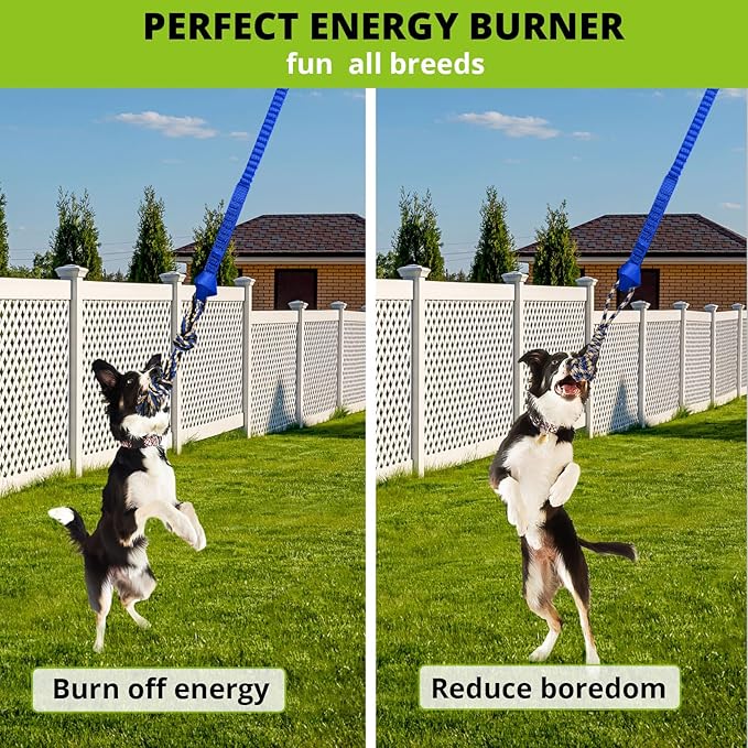 Dog Hanging Bungee Tug Toy: Interactive Tether Tug-of-War for Pitbull Small to Large Dogs to Exercise and Training Equipment - Outdoor Tree Tugger Dog Rope Toy with 2 Chew Rope Toys - Blue