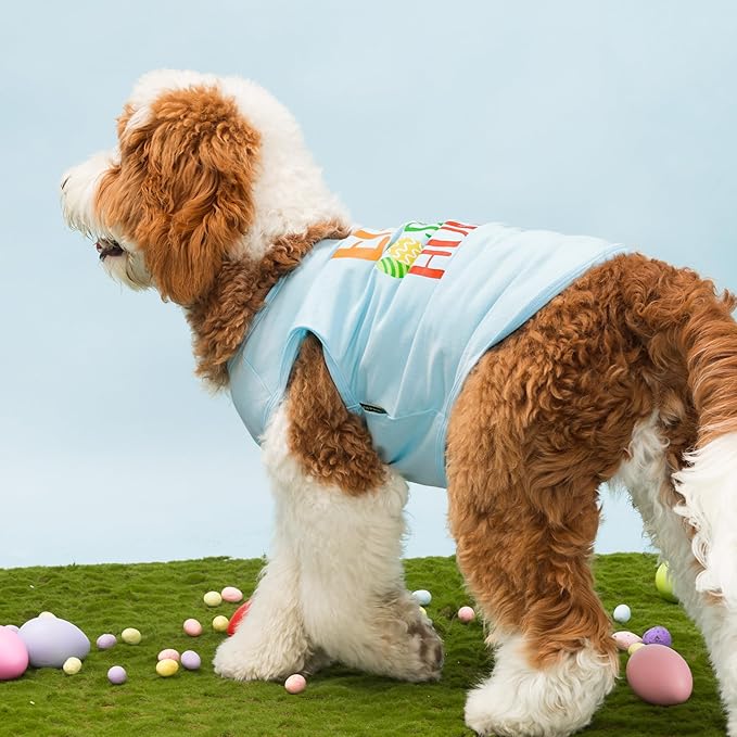 Fitwarm Egg-spert Hunter Dog Easter Outfit, Summer Clothes for Small Dogs Boy Girl, Pet Outfit, Blue, Red, Green, Orange, Medium