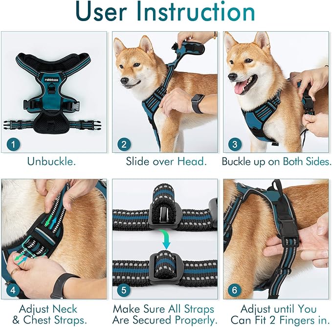 rabbitgoo Dog Harness No Pull with 2 Leash Clips, Adjustable Soft Padded, Reflective Oxford No Choke Pet Vest with Easy Control Handle for Large Dogs, Blue Coral, XL