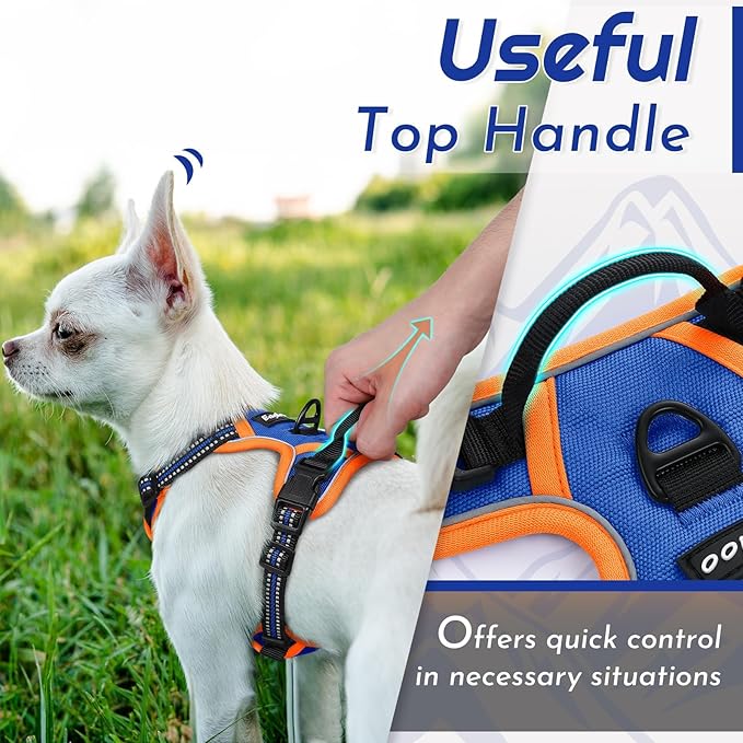 Eagloo Small Dog Harness No Pull, Service Vest with Reflective Strips and Control Handle, Adjustable and Comfortable for Walking, No Choke Pet Harness with 2 Metal Rings, Blue & Orange, XS