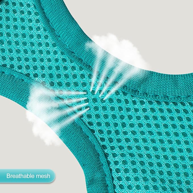 YIMEIS Dog Harness and Leash Set, No Pull Soft Mesh Pet Harness, Reflective Adjustable Puppy Vest for Small Medium Large Dogs, Cats (Turquoise, Small (Pack of 1)