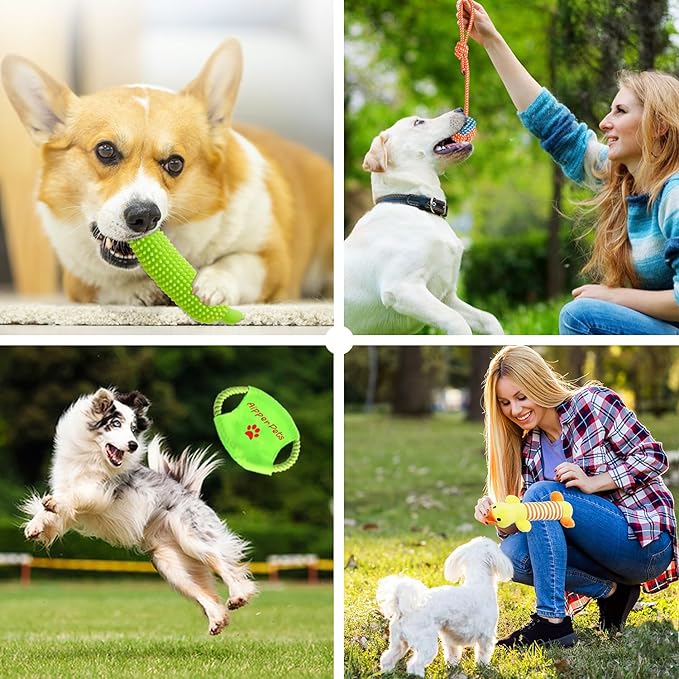 Dog Toys 25 Pack for Fun and Teeth Cleaning, Puppy Chew Toys Pack with Squeak Plush Toy,Squeaky Toy Balls,Tug of War and Rope Toys for Puppy to Small Dogs