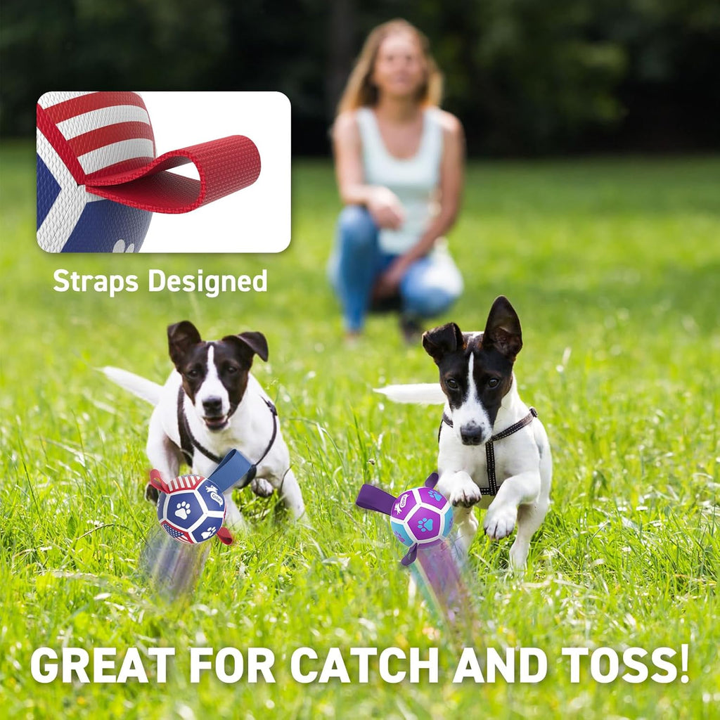 QDAN 2 Pack Small Dog Toys, Puppy Balls, Dog Balls with Straps for Small Breed, Soccer Ball for Dogs, Puppy Toys, Dog Birthday Gift (3.5 Inch)