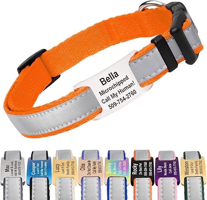 GoTags Reflective Personalized Dog Collar with Nameplate, Adjustable Dog Collar with Custom Engraved Steel Slide On Pet ID Tag, Silent, No Noise Dog Tag for Large Medium or Small (Orange, Large)