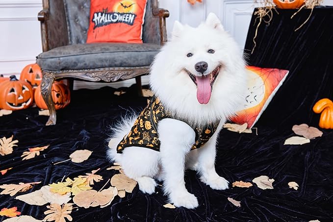 Aiboria Winter Dog Coat Windproof Fleece Jacket with Chest Strap Dog Vest Harness Halloween Black M