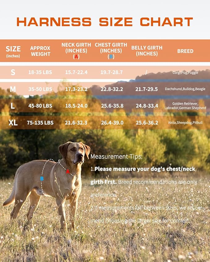 Dog Harness for Large Dogs Heavy Duty, No Pull Tactical Dog Harness with Molle System, Easy On and Off Service Dog Vest, Breathable Padded, Adjustable Reflective Pet Vest for Walking Hiking Training