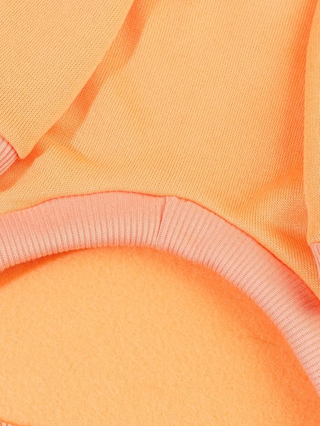 QWINEE Basic Dog Hoodie Sweatshirt Puppy Sweater Warm Cat Costumes Pet Clothes for Chihuahua Puppy Kitten Small Medium Dogs Orange Small