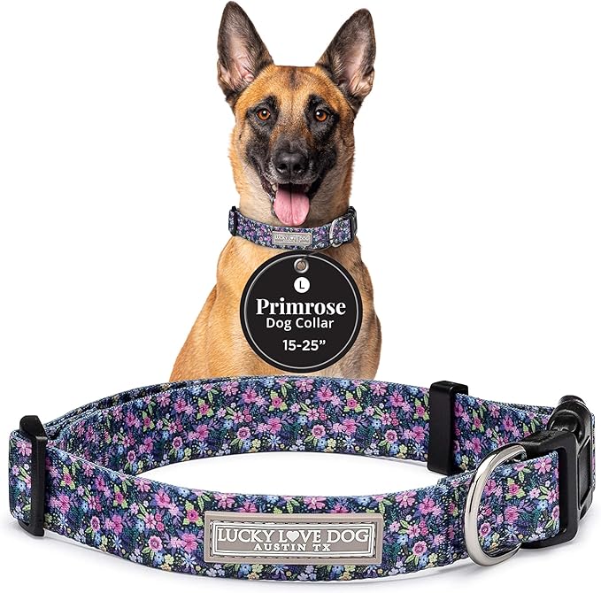 Lucky Love Dog - Adjustable Dog Collar with Easy Click Buckle for Small to Large Ones, Durable, & Comfortable for Male & Female Dogs, Pet Collar for Puppies & Adult Dogs - Primrose, Large