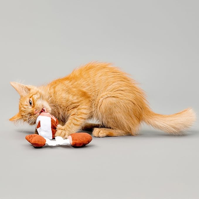 Cat Toys | Plush Toy Fish Puzzle Cat Toys for Indoor Cats | Eco Friendly Toy Made from Non Toxic Materials