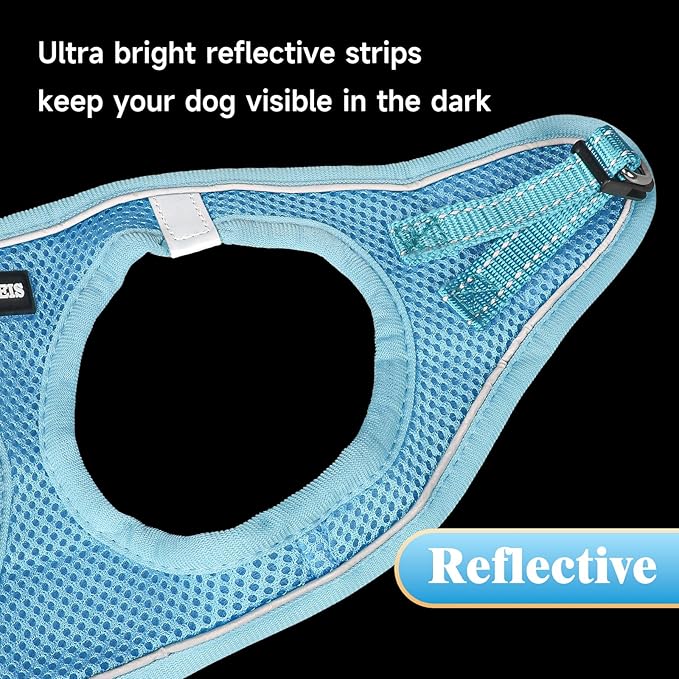 YIMEIS Dog Harness and Leash Set, No Pull Soft Mesh Pet Harness, Reflective Adjustable Puppy Vest for Small Medium Large Dogs, Cats (Sky Blue, Small (Pack of 1)