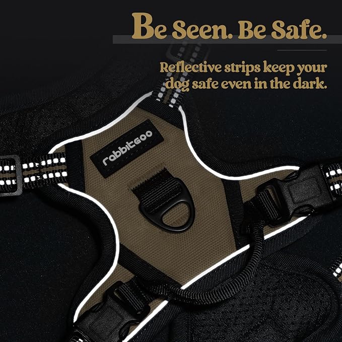 rabbitgoo Dog Harness No Pull with 2 Leash Clips, Adjustable Soft Padded, Reflective Oxford No Choke Pet Vest with Easy Control Handle for Puppy, Beige, XS