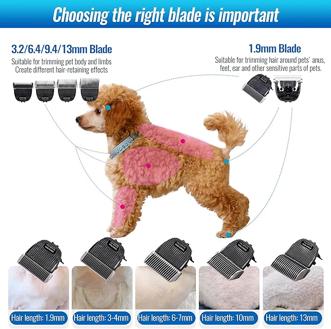 FENICE PEAK 5FC Low Noise Pet Dog Grooming Clippers Replacement Blade Ceramic Edge Detachable Steel Pet Clipper Blade with Cutting Length of 6.4mm 1/4'' (1 Count)