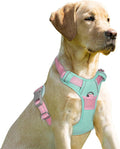 BARKBAY No Pull Dog Harness Front Clip Heavy Duty Reflective Easy Control Handle for Large Dog Walking(Cool Mint & Baby Pink,S)