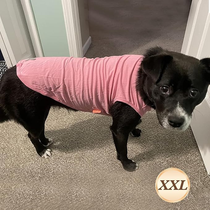 KYEESE 2Pack Dog Shirts Striped Soft Stretchy Dog T-Shirts Lightweight Tank Top Sleeveless Vest Breathable Pet Apparel, XX-Large, Rose Red+Blue