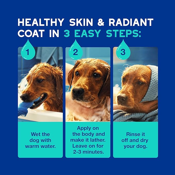 DOUXO® Skin & Coat SPA - Ultra-Safe Odor Control Dog Shampoo for Smelly Dogs, 16 fl oz, Cleans and Hydrates The Skin, Removes Odor, Leaves The Coat Soft and Smelling Great, Skin-Friendly Formula