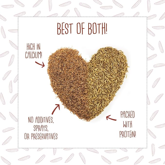 2lb Chubby Mix Mealworm & Black Soldier Fly Larvae Combo. Non-GMO Dried Insects for Chickens – High Protein Chicken Feed Meal Worms for Wild Birds & Chicken Treats for Laying Hens