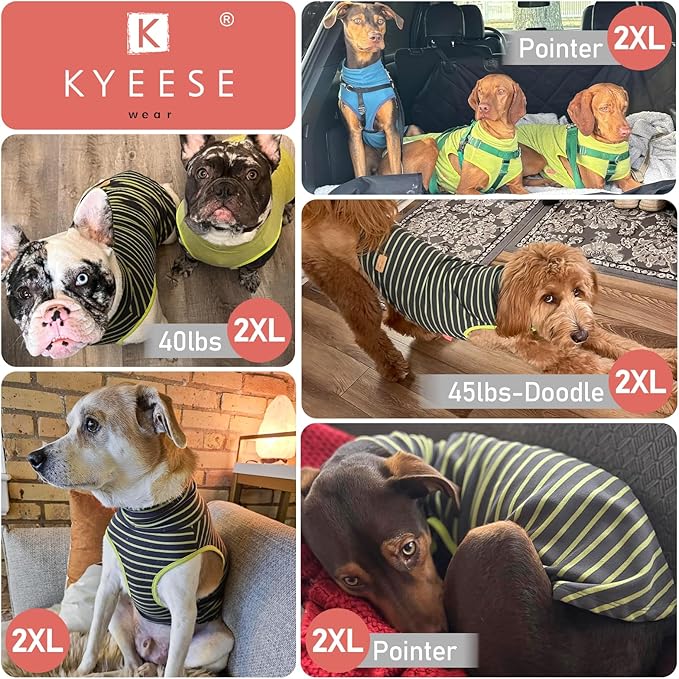 KYEESE 2Pack Dog Sweater Stretchy Large Pets Sweater Turtleneck Dogs Clothes Warm Pet Coats Soft Dog Sweaters for Medium Dogs Boy Pullover Pet Sweatshirt