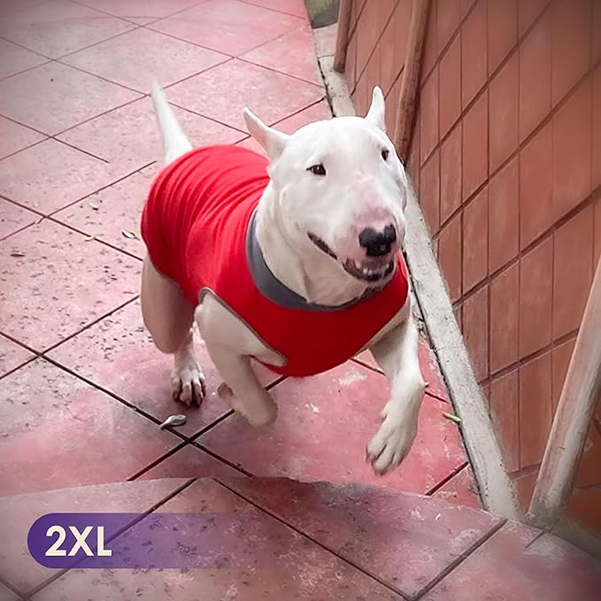 cyeollo 2 Pack Dog Sweater Fleece Vest Pullover Pet Sweatshirt Reflective Lightweight Dog Clothes for Large Dogs Boy Girl Pet Apparel Red, Grey, XXXL