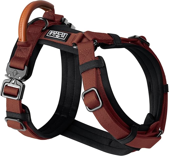 MADE TO ROAM Premium Explorer Harness - Y-Shaped Dog Harness with Adjustable Durable Nylon, Soft Padding, Metal Buckles and Leather Handle for Small, Medium, Large Dogs (Arizona Heartbeat, Size 5)