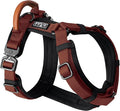 MADE TO ROAM Premium Explorer Harness - Y-Shaped Dog Harness with Adjustable Durable Nylon, Soft Padding, Metal Buckles and Leather Handle for Small, Medium, Large Dogs (Arizona Heartbeat, Size 2)