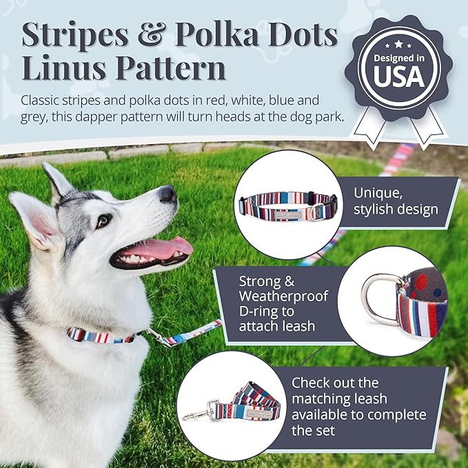 Lucky Love Dog - Adjustable Dog Collar with Easy Click Buckle for Small to Large Dogs, Durable, & Comfortable for Male & Female Dogs, Pet Collar for Puppies & Adult Ones - Linus, XS