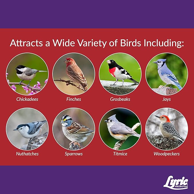 Lyric Delite Wild Bird Seed - No Waste Bird Food Mix with Shell-Free Nuts & Seeds - Attracts Buntings, Chickadees & Finches - 5 lb bag