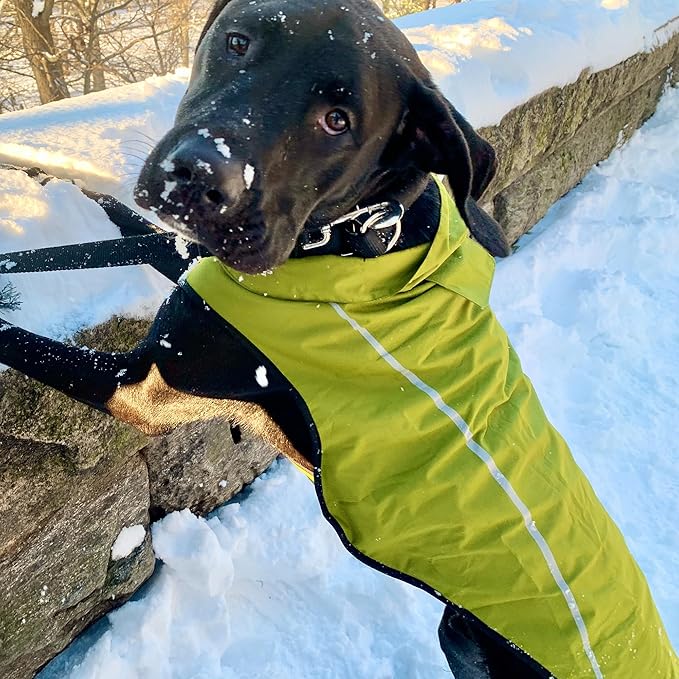 Mile High Life Dog Raincoat, Adjustable Waterproof Reflective Rain Jacket for Small Medium Large Dogs, Lightweight Breathable Pet Rain Coat with Leash Hole(Lime Yellow,XS Chest 17-23")