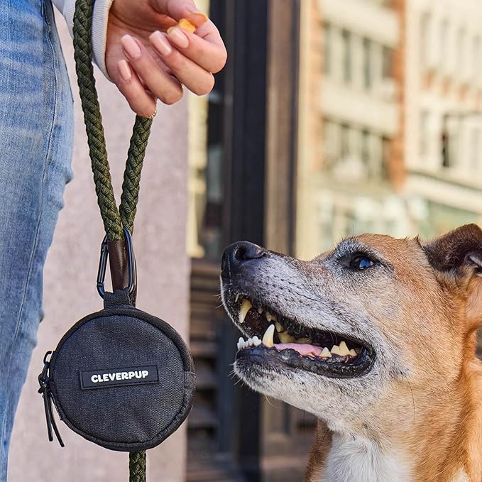 Snackpack Double Insulated Dog Treat Pouch - Holds 1.5 Cups - Dog Training and Walks Snack Bag, Two Pockets for Dry or Wet Treats, Attaches to Leash, Belt, or Bag - Graphite