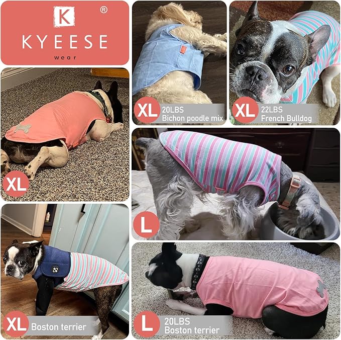 KYEESE 2Pack Dog Shirts Striped T Shirt Soft Tee for Small Dogs Cotton Tank Top Clothes Lightweight Sleeveless Dog Vest, X-Large,Blue+Striped