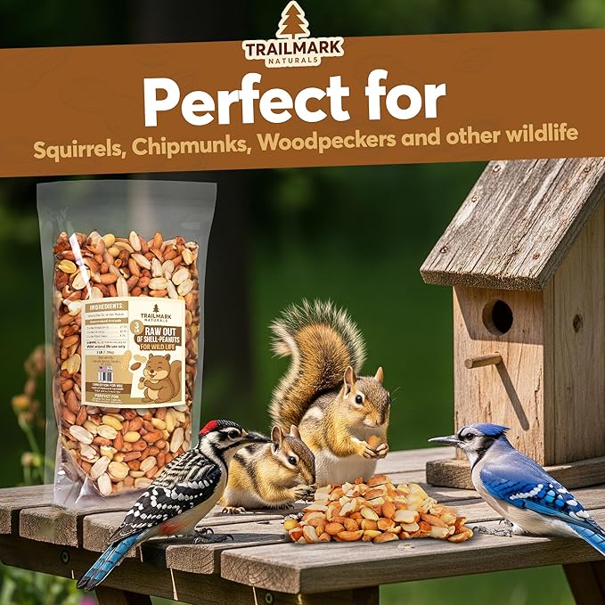 10 LB - Raw Shelled Peanuts For Squirrels, Out of Shell Peanuts For Birds and Wildlife- Squirrel Food, Wild Bird Seed -Grown in The USA