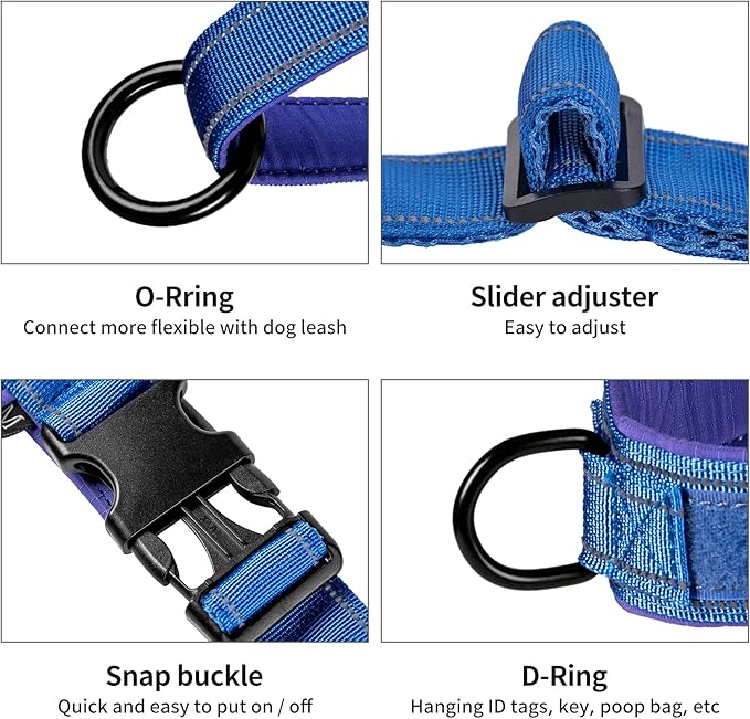 Annchwool No Pull Dog Harness with Padded Handle+5 Ft Leash,Reflective Strip Escape Proof and Quick Fit to Adjust Dog Harness,Easy for Training Walking for Small & Medium and Large Dogs(Blue-Set,L)