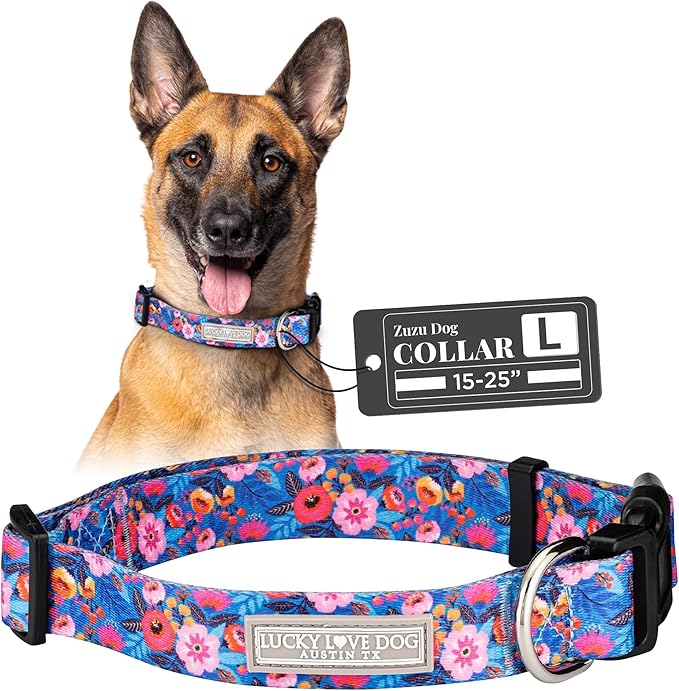 Lucky Love Dog - Adjustable Dog Collar with Easy Click Buckle for Small to Large Dogs, Durable, & Comfortable Collar for Male & Female Dogs, Pet Collar for Puppies & Adult Dogs - Zuzu, Large