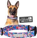 Lucky Love Dog - Adjustable Dog Collar with Easy Click Buckle for Small to Large Dogs, Durable, & Comfortable Collar for Male & Female Dogs, Pet Collar for Puppies & Adult Dogs - Zuzu, Large