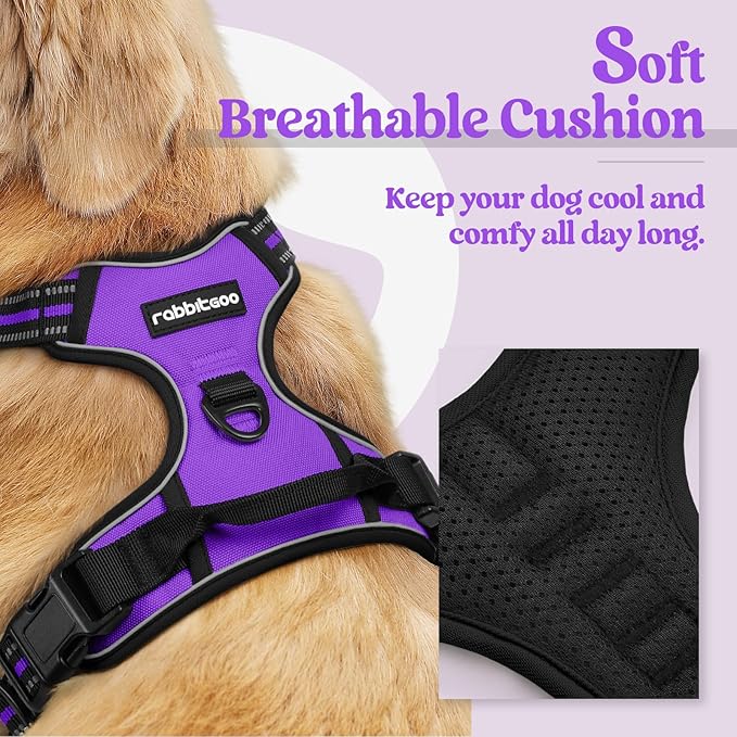 rabbitgoo Dog Harness No Pull with 2 Leash Clips, Adjustable Soft Padded, Reflective Oxford No Choke Pet Vest with Easy Control Handle for Medium Sized Dogs, Purple, M