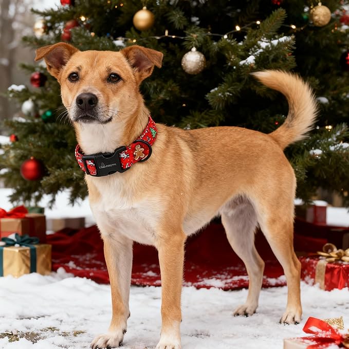 ARING PET Christmas Dog Collar Cute Small Dog Collars, Adjustable Cotton Red Christmas Dog Collars Puppy Collar for Small Medium Large Boy and Girl Dogs