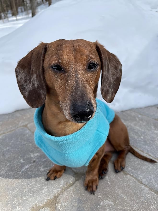 Gooby Boys X-Small Chest (~11 Inch) Zip Up Fleece, Turquoise, X-Small 11 US