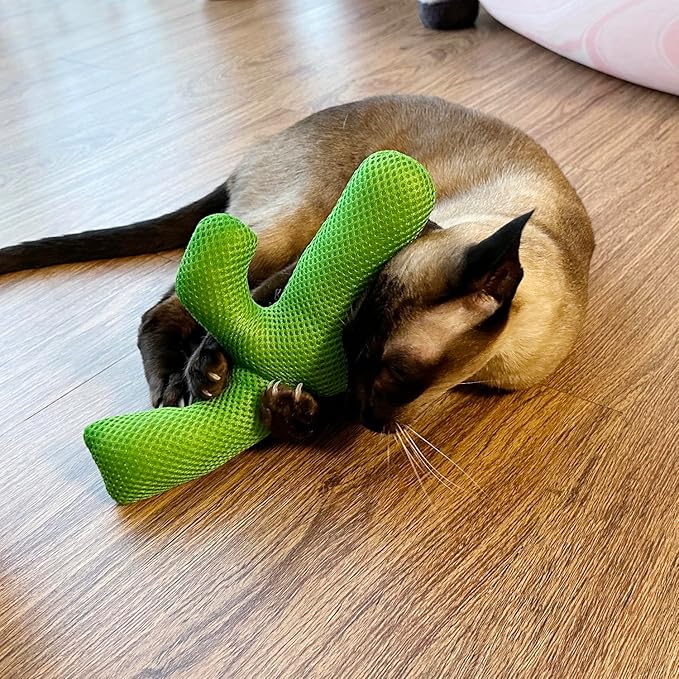 TTcat Catnip Silvervine Matatabi Pillow for Cats & Kittens,Large Cat Cactus Toy Cat Kicker Toy Chew Toy for Indoor Cats.
