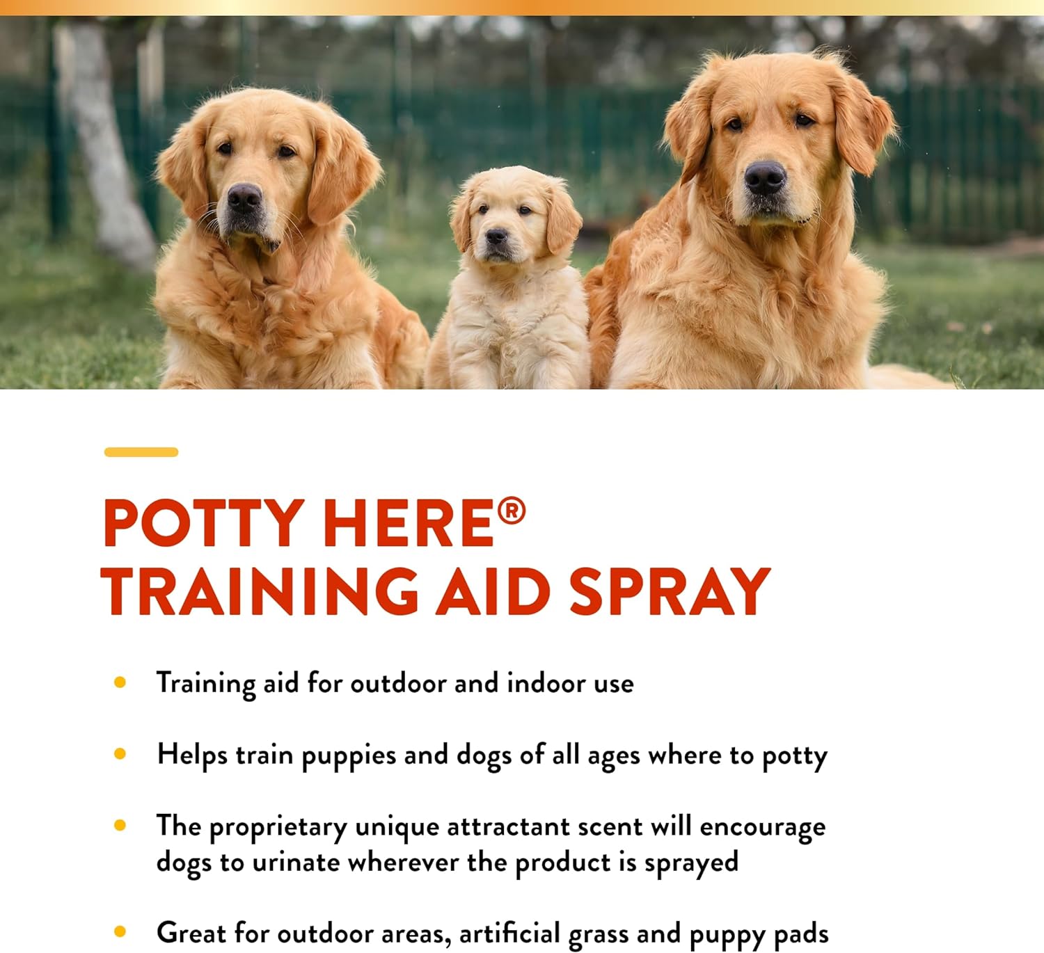 NaturVet – Potty Here Training Aid Spray | Attractive Scent Helps Train Puppies & Dogs Where to Potty | Formulated for Indoor & Outdoor Use | 8 oz