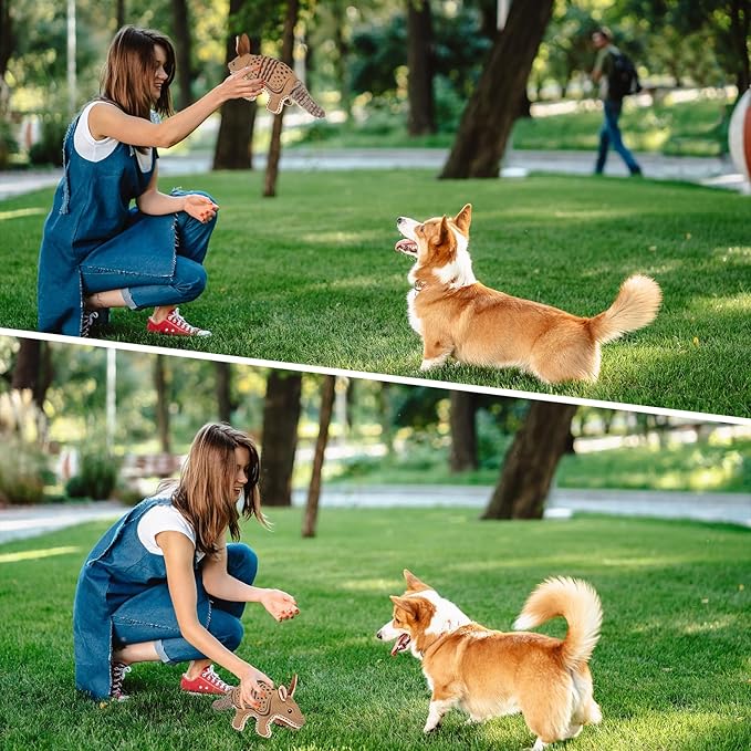 Tough Durable Squeaky Dog Toys for chewers Interactive to Keep Them Busy, Funny Tug of War Dogs Toy for Small Medium Large Cute Birthday Gift (Armadillo)