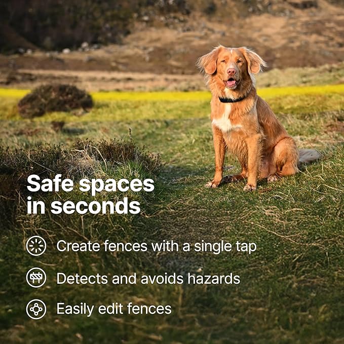 Halo Collar 5, New Wireless Dog Fence & GPS Dog Collar, Subscription Required, Waterproof, Sunburst, One Size