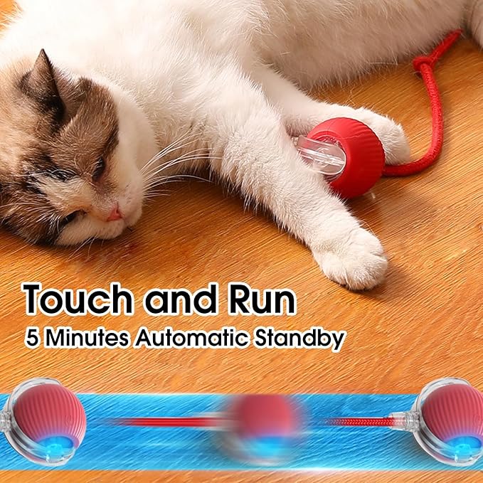 Interactive Cat Toys Ball,Movable Cat Toys, Smart 360° Automatic Rolling Pet Ball, USB Rechargeable, Ideal Christmas Halloween Pet Gift, Relieves Boredom for Indoor Cats
