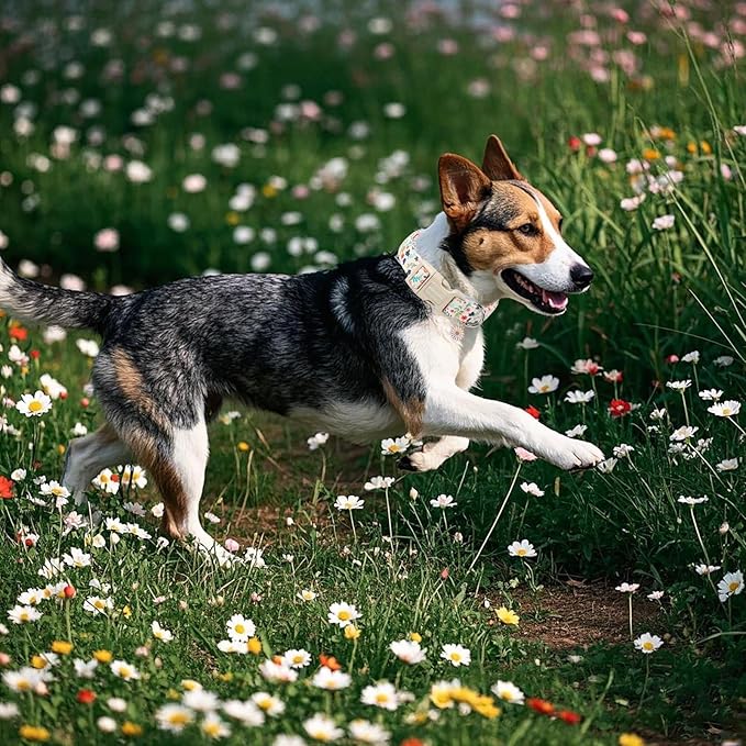 DOGWONG Spring Summer Floral Cotton Dog Collar, Pink Flower Dog Collar Durable Soft Fabric Pet Dog Collars Cute Girl Female Puppy Necklace for Small Medium Large Dogs