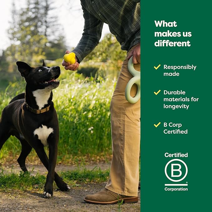 Earth Rated Dog Ball, Interactive Fetch Toy for All Breeds, Comes in Multiple Sizes, Made with Natural Rubber, Perfect for Indoor and Outdoor Use, Small, Yellow