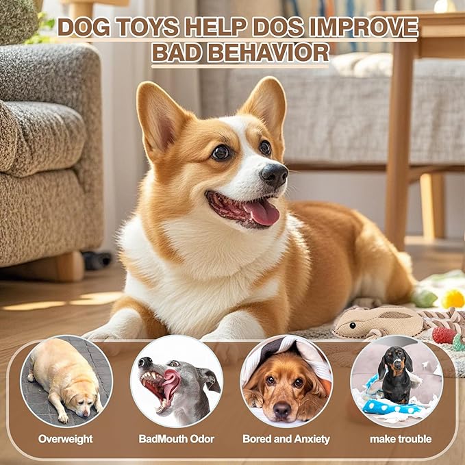 Tough Durable Squeaky Dog Toys for chewers Interactive to Keep Them Busy, Funny Tug of War Dogs Toy for Small Medium Large Cute Birthday Gift (Frog)
