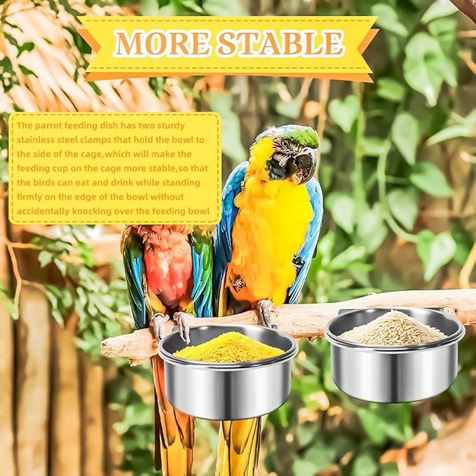 MotBach 3 Pack Bird Feeding Bowls Cups Parrot Food Water Dishes, Stainless Steel Bird Bowl Cup Dish with Clamp, Birdcage Feeder Pet Cage Bowls for Parrot Cockatiel Budgie Conure Parakeet Small Animal