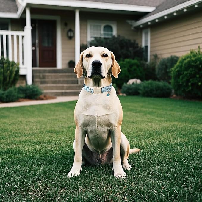 ARING PET Dinosaur Dog Collar, Blue Summer Pet Collars with Quick Release Buckle for Puppy Small Medium Large Boy Girl Dogs-XS