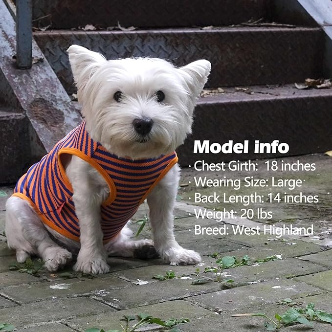 KYEESE 2Pack Dog Shirts Striped Soft Stretchy T-Shirts Lightweight Tank Top Sleeveless Dog Vest Breathable, XX-Large, Orange+Green