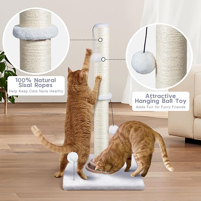 31" Cat Scratching Post Kitten Toys for Indoor Cats, Interactive Cat Scratcher with Catnip Balls, Sisal Scratch Rope for Large Cats, White