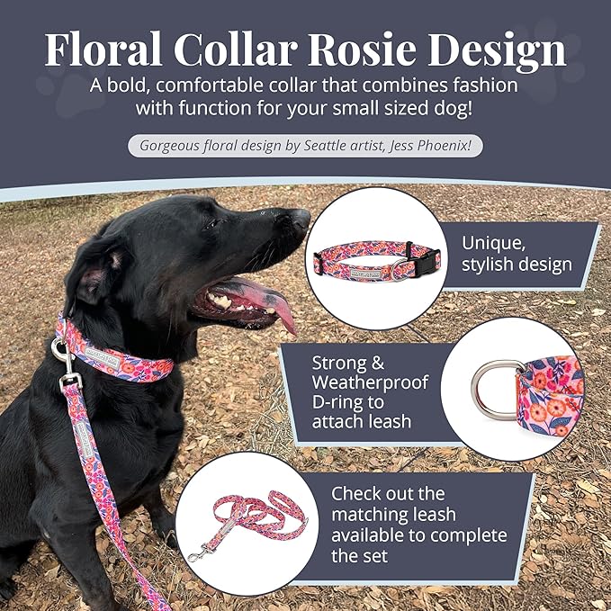 Lucky Love Dog - Adjustable Dog Collar with Easy Click Buckle for Small to Large Ones, Durable, & Comfortable for Male & Female Dogs, Pet Collar for Puppies & Adult Dogs - Rosie, Small