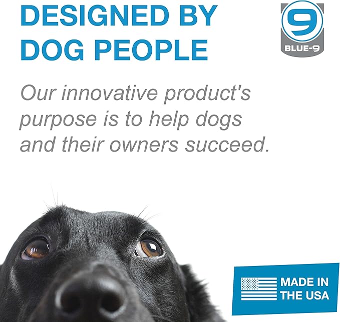 Blue-9 Buckle-Neck Balance Harness, Fully Customizable Fit No-Pull Harness, Ideal for Dog Training and Obedience, Made in The USA, Sky Blue, Large